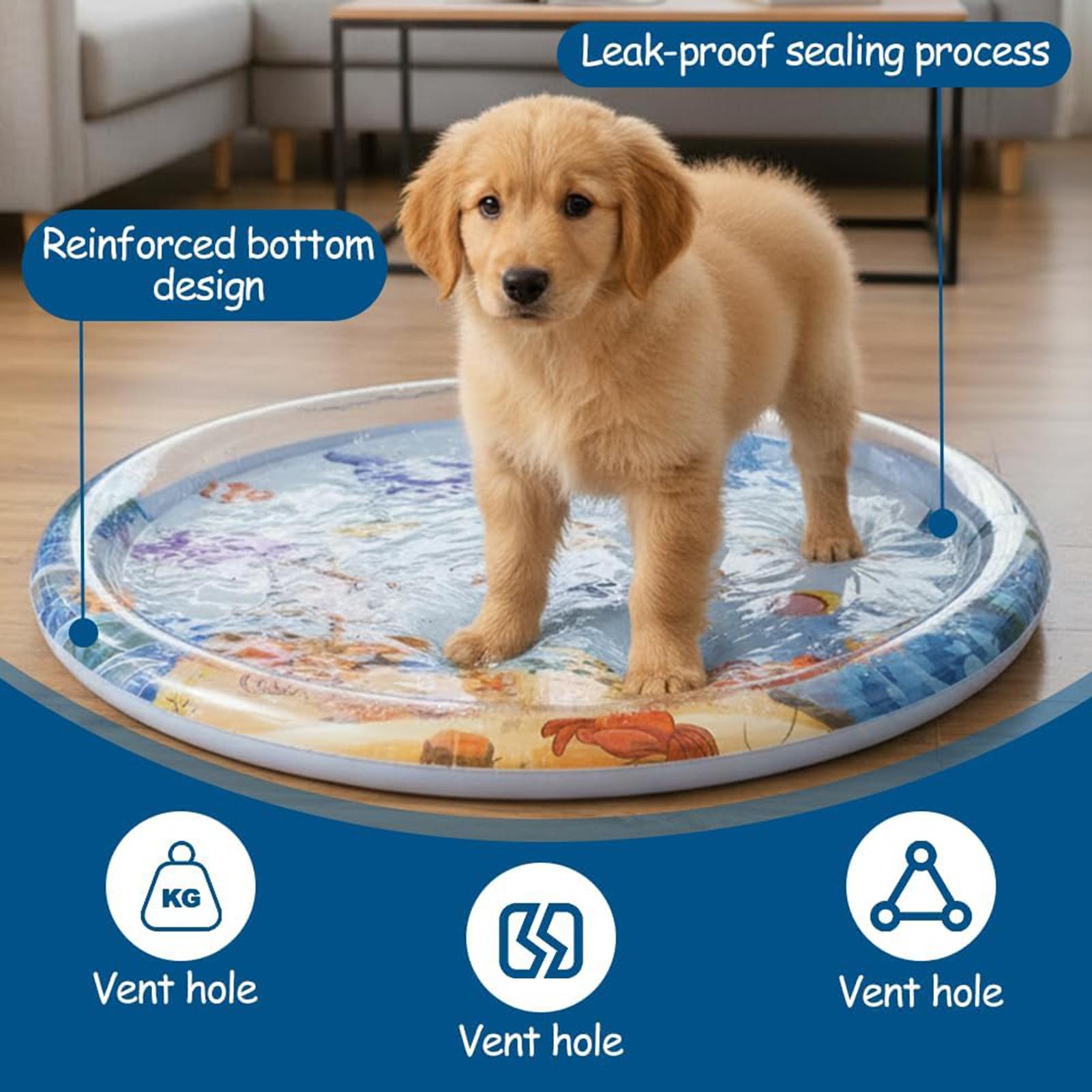 Slip Slide Water Mat - Tappetino Interattivo per Gatti con Letto