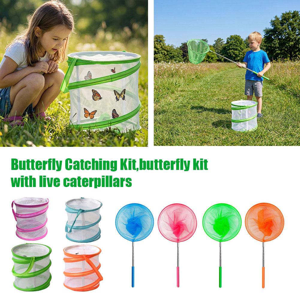 Kit per Catturare Farfalle per - Kids Outdoor Education recensione e prezzo
