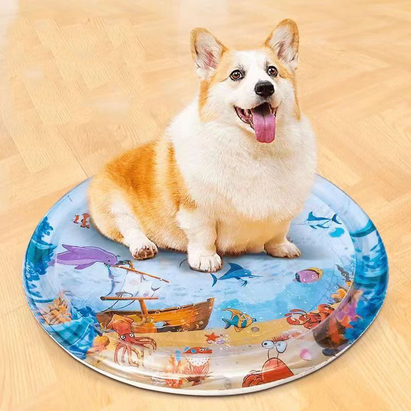 Tappetino da gioco sensoriale  - Slip Slide Water Mat recensione e prezzo